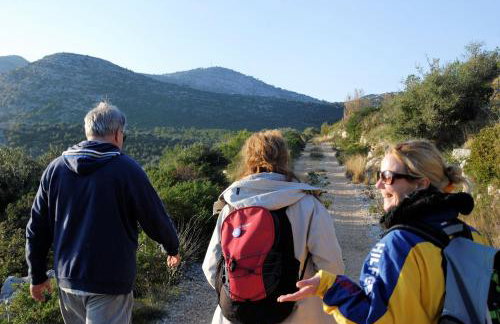 Apartments Silvana - Foto 5