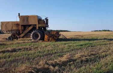 Domek Konrad - balia ogrodowa dodatkowo płatna - Foto 59