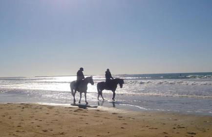 Appartement proche de la mer et à 2 min d' ETEL - Foto 21