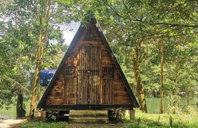 Isla Del Antoño - Foto 9