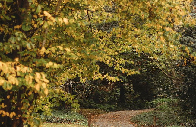 Weardale Estate - Photo 78