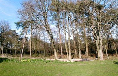 The Old Carthouse - Foto 11