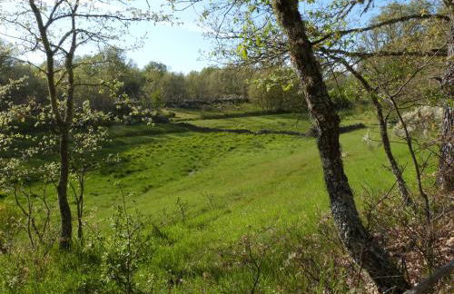 Casa Rural Los Castaños II - Foto 3