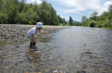 Garden Apartament Kurnik - Foto 31