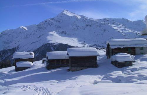 Anemone Home - Foto 21