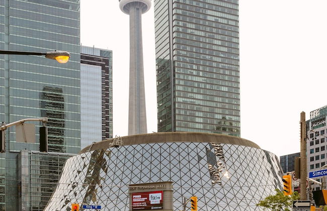 Cozy Basement Studio - Foto 41