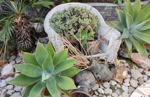 Casa Luna Llena - Foto 18