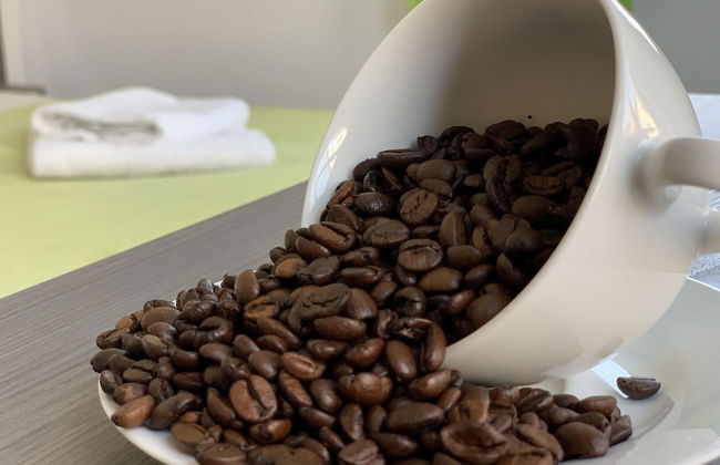 Rhöner Ferienwohnung - Foto 6