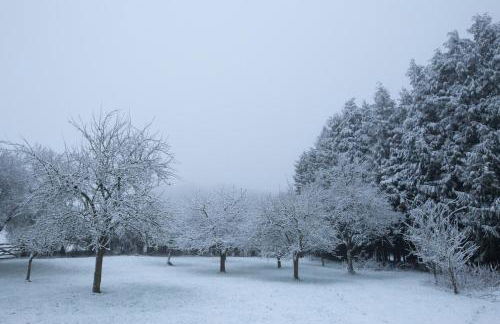The Organic Cotswolds Cowshed - Photo 57