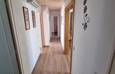 Sant Jordi 2 - Foto 10