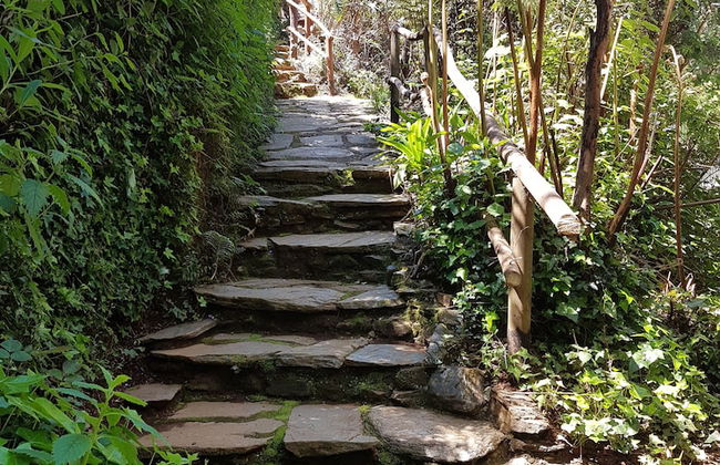 La Rueda del Chucao - Foto 35