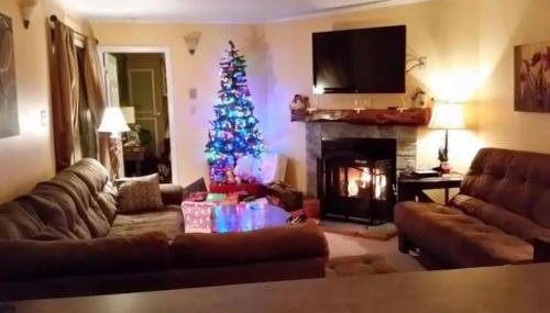 Winterplace Ski in Ski Out D101 First Floor - Foto 2