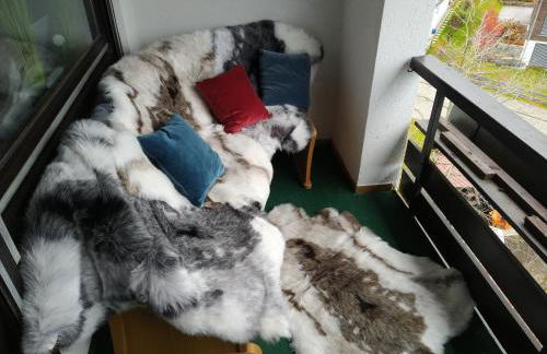 Mailin`s Apartment inkl Oberstaufen Plus Card - Foto 16