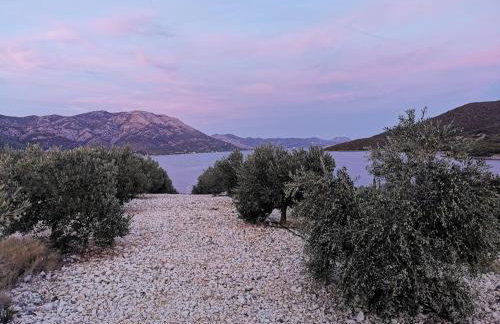 Apartment Stanisic - Foto 20