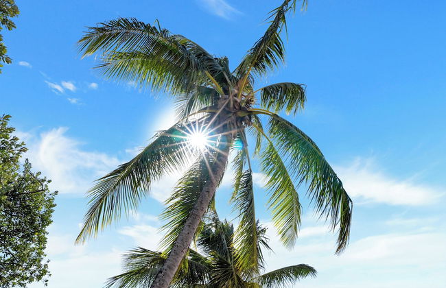 Argosy On The Beach - Foto 51