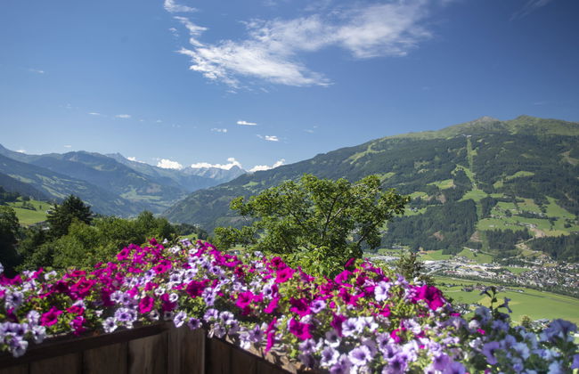 Ferienhof Sonnseitn - Foto 3