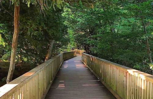 Summerhouse @ 73 (Forest of Dean) Gloucestershire - Foto 16