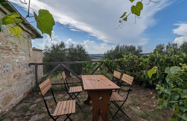 Podere Spedalone - Photo 70