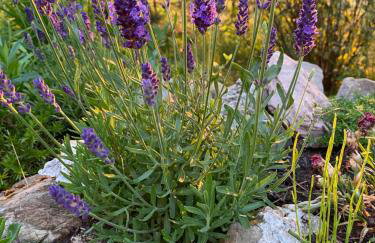 Apartament Pod Zamczyskiem - Photo 27