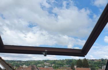 Appartement entier - Centre ville - Batiment historique - Foto 19