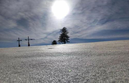 Le Loft Doré - Foto 49
