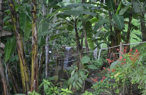 Sitio Alto da Montanha - você em paz com a natureza - Foto 51