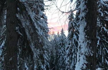 Mansarda al Noce - Foto 27