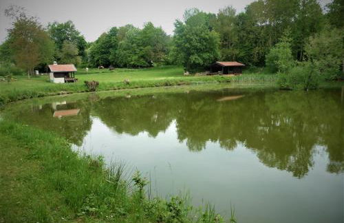 Ferienwohnung in der Rhön - Foto 10