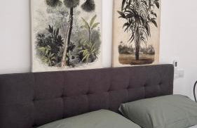 Cocciu d'amuri a casa - Foto 9