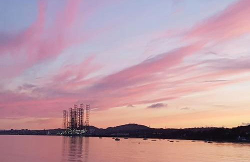 The Fuzzy Duck - Photo 27