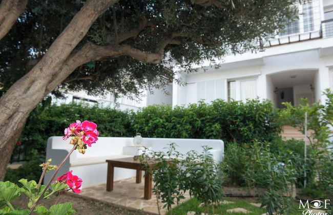 Hotel Elena - Photo 35