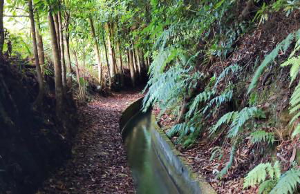 Vista Romantica Madeira - Photo 64