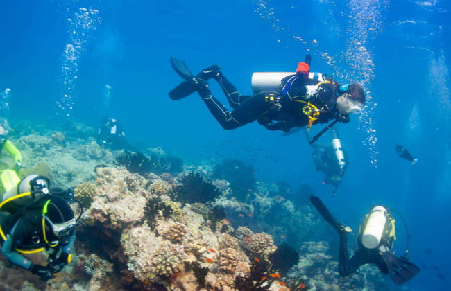 Baptême de plongée à Trincomalee - Photo 6