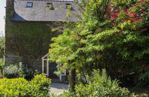 Ty'n y Cae - Foto 60