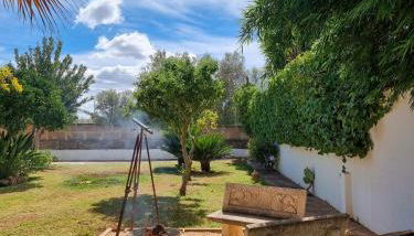 Eco Finca Sa Font Blava - Foto 3, Garden, Garden view