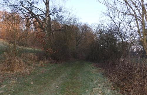 Dorfgalerie Lahntal - Foto 36