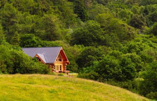 Wild Nurture Eco Luxury Offgrid Log Cabin - Foto 57