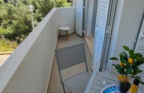 EstrelasDourada ALVOR Limoeiro - Foto 29