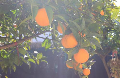 Suitur casa baquera en la playa larga roda de bará - Foto 25