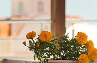 Hermes' Getaway - Photo 23