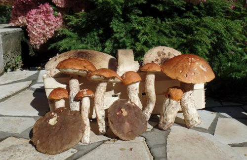 Krolowo Apartment - Photo 24