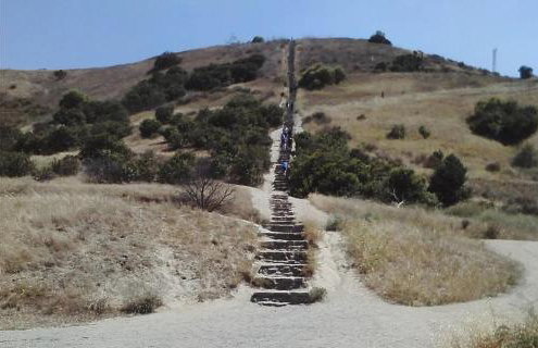 Cheerful house with EV, Parking & backyard - Foto 10