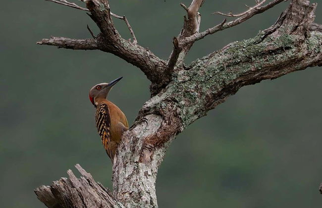 Hiking in Paraíso - Foto 5