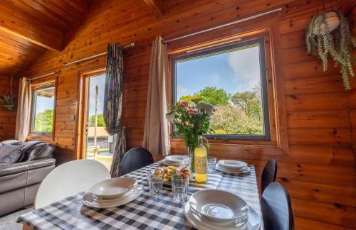 Chalet Lodge 2 - Hot Tub by Interhome - Foto 16