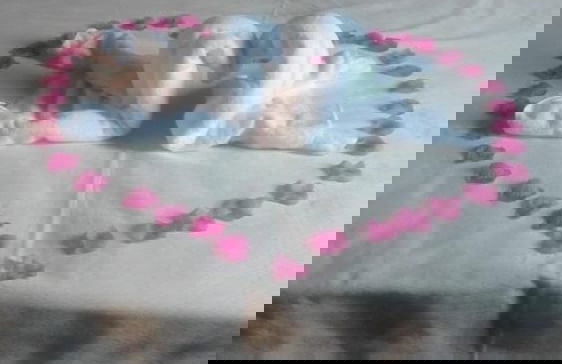 Agriturismo limpero romano - Foto 10