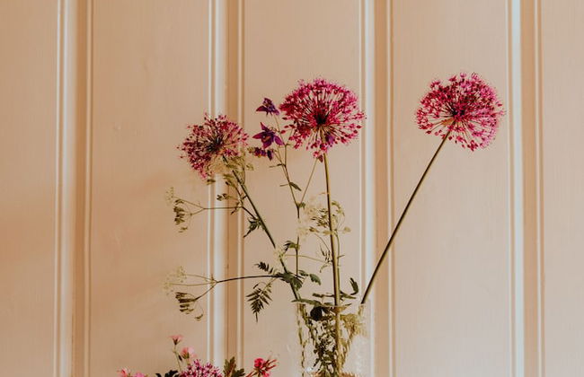 Landhaus Kurzenmoor - Foto 38