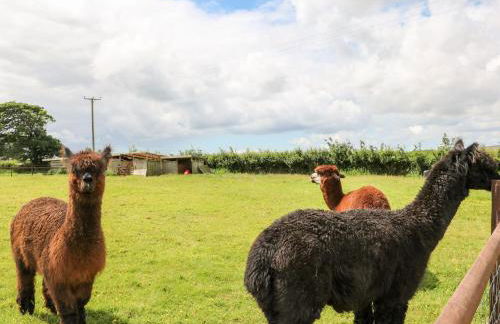 Connie's Cottage - Foto 39