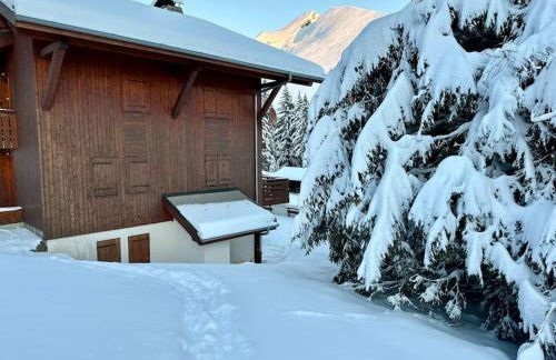 La Clusaz Escape - Foto 23