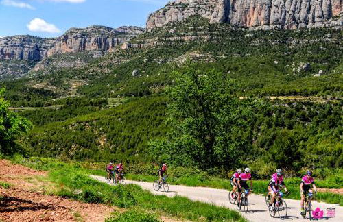 Pla del Castell II - Foto 14