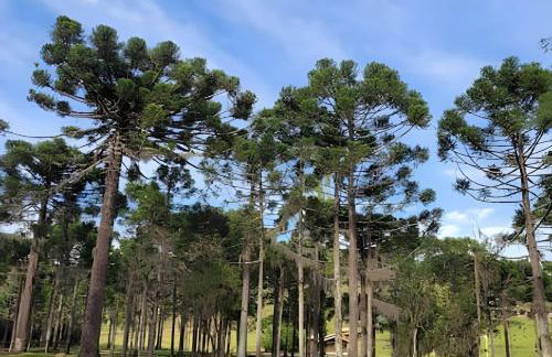Cabana Pequeno Bosque som dás Águas - Foto 45